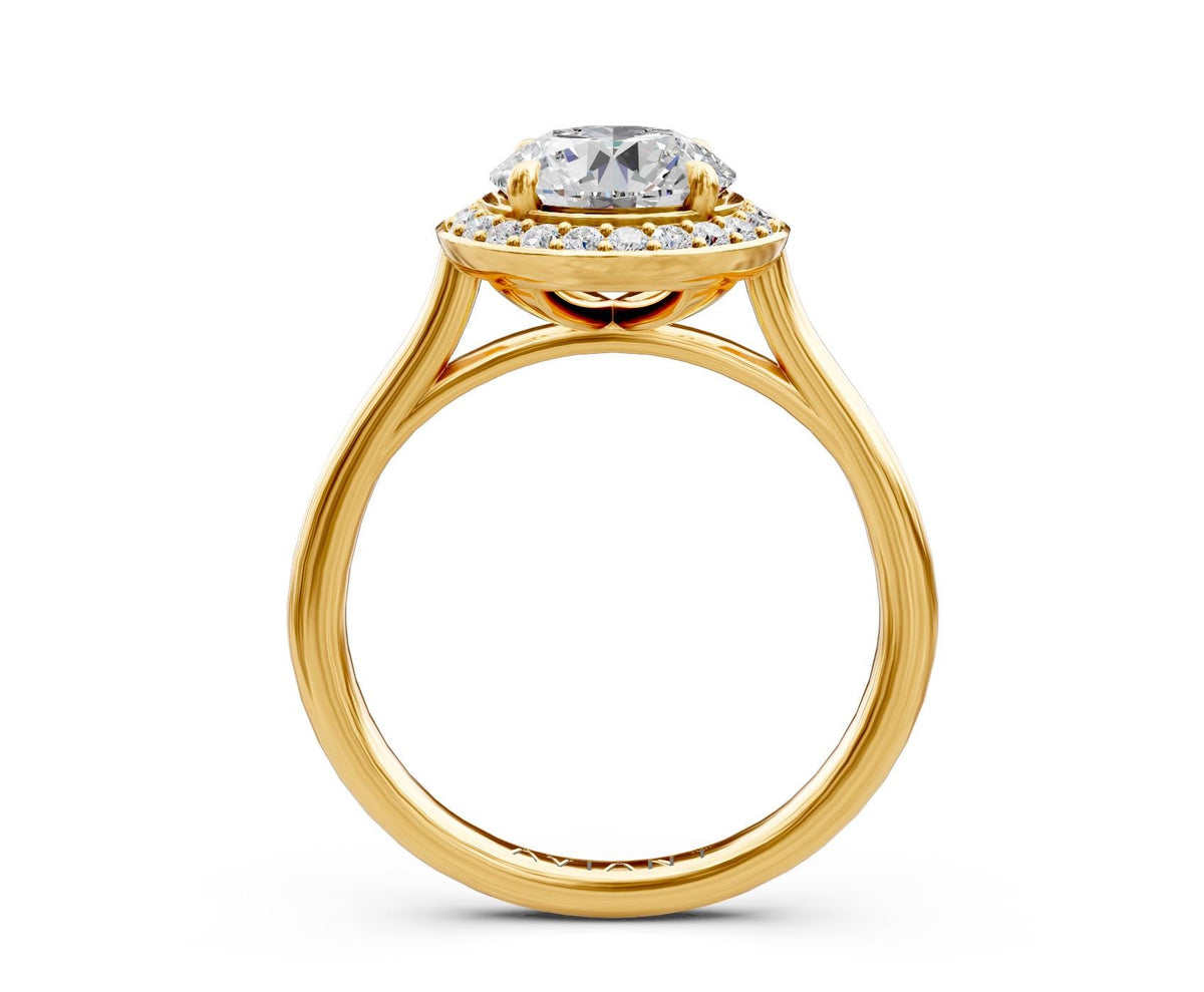 Noelle Halo engagement ring in 14k yellow gold