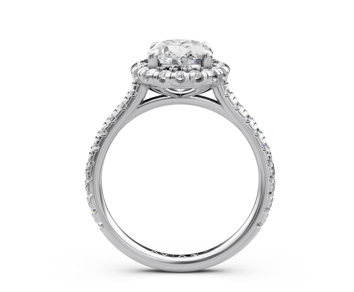 Vivian Halo engagement ring in 14k white gold