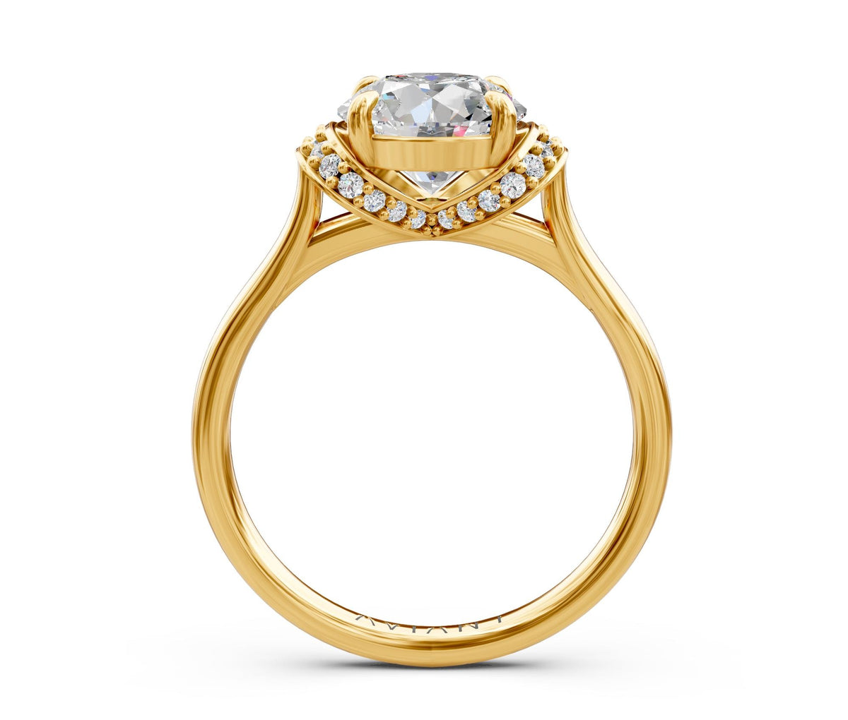 Lucia Halo engagement ring in 14k yellow gold