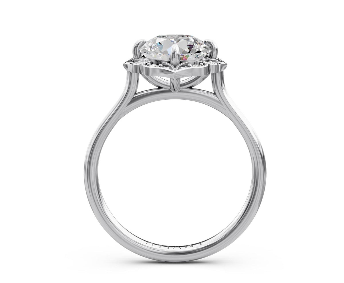 Phoebe Solitaire engagement ring in 14k white gold