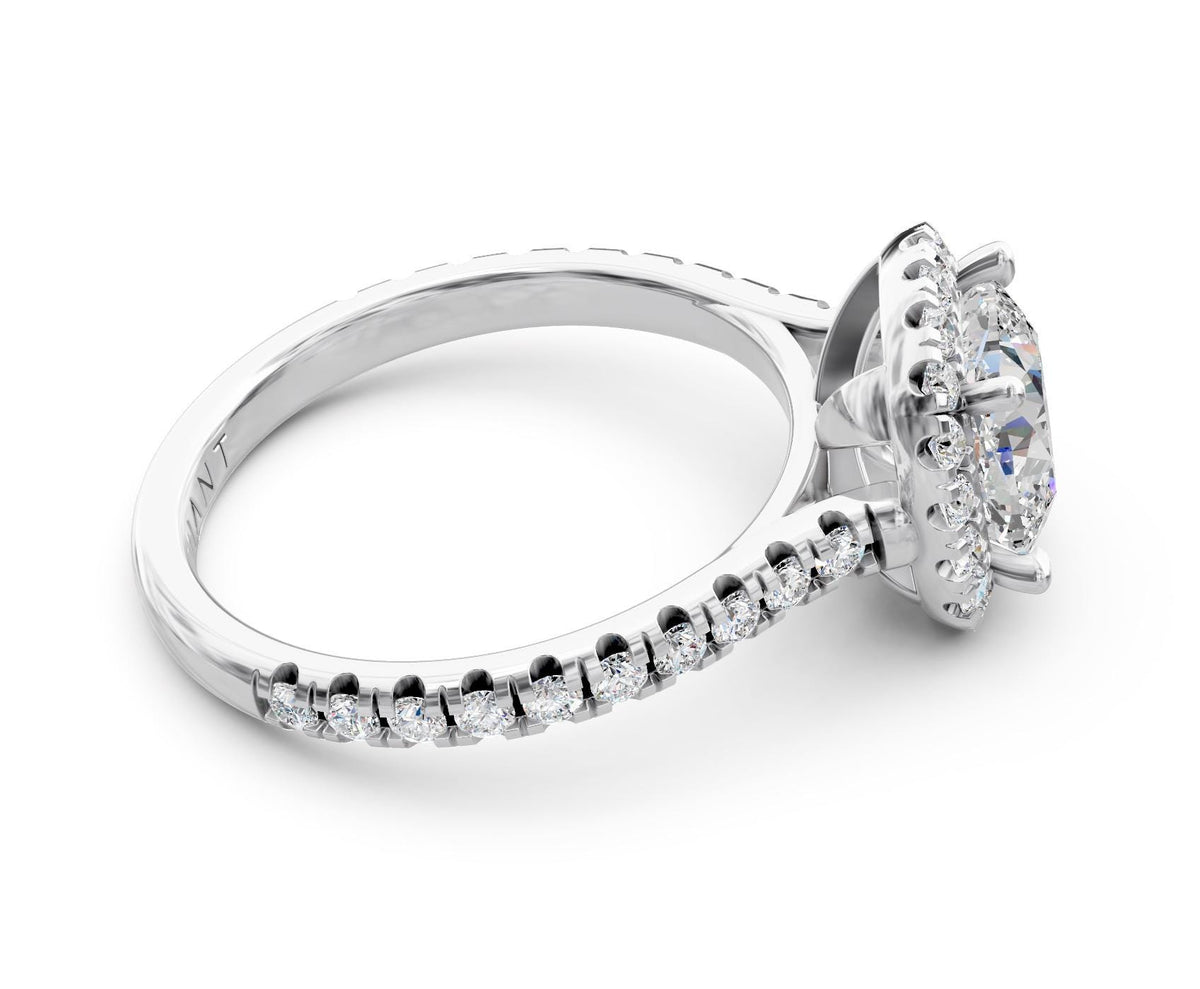Evelyn Halo engagement ring in 14k white gold