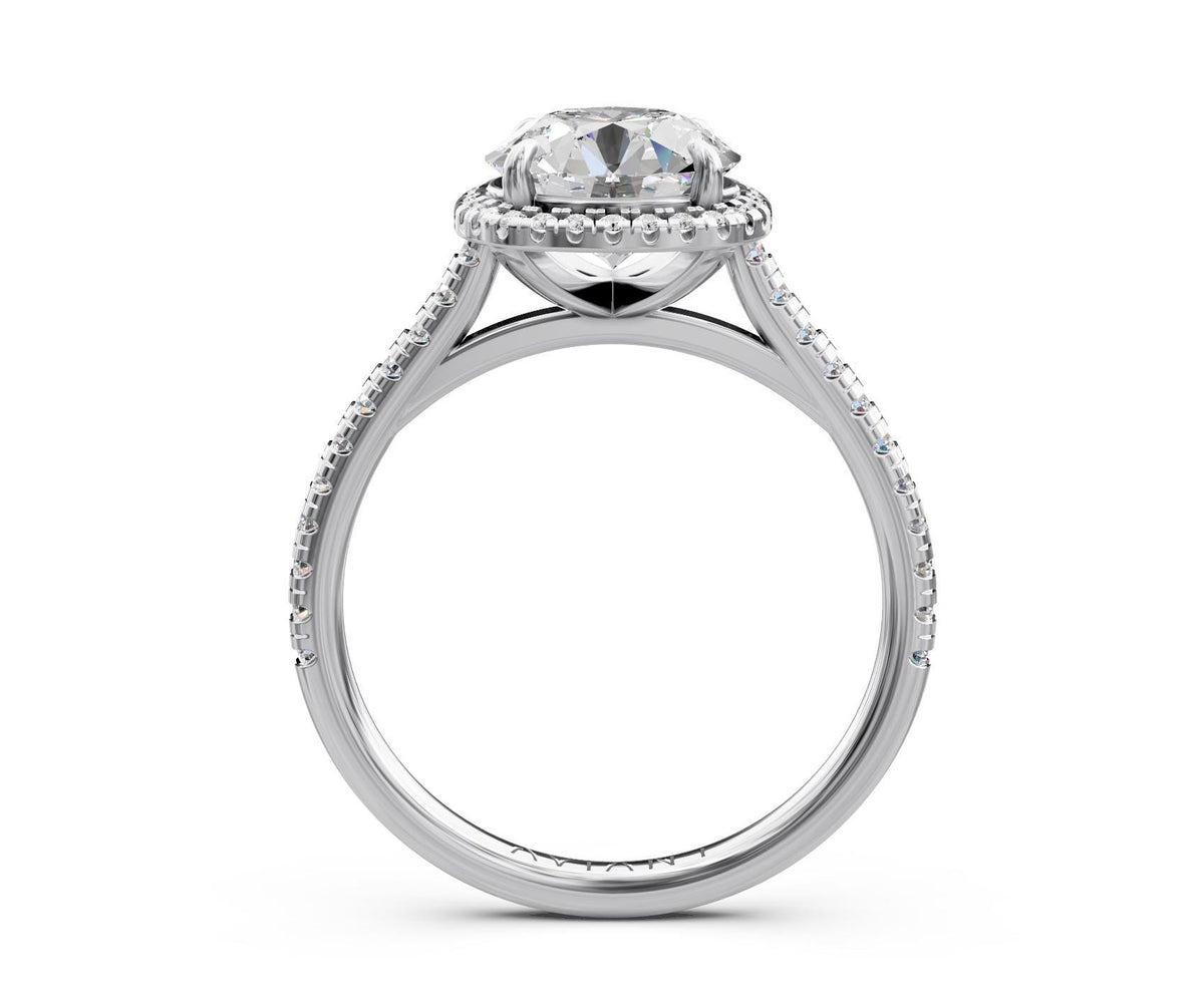 Lorelei Halo engagement ring in 14k white gold