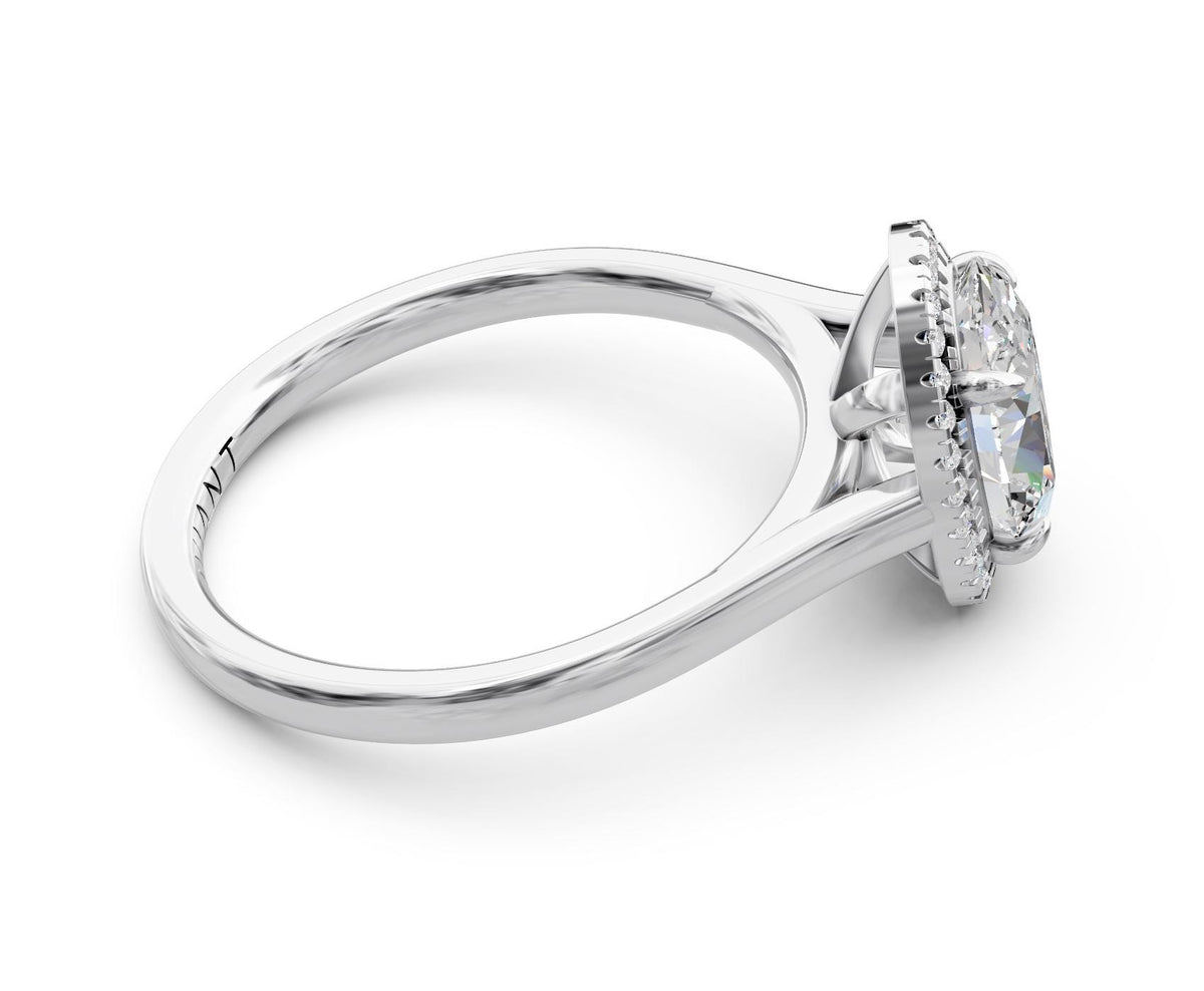 Dahlia Halo engagement ring in 14k white gold