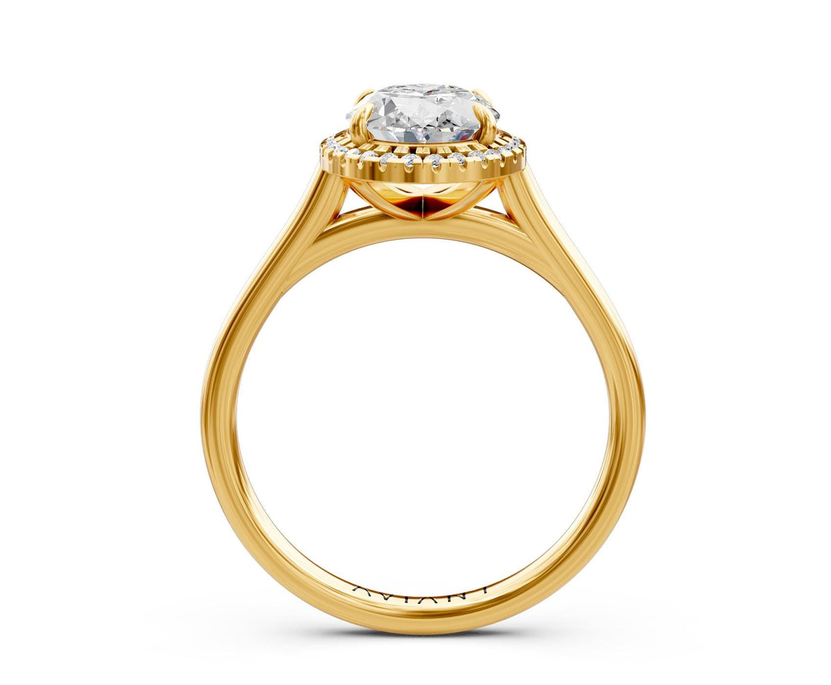 Dahlia Halo engagement ring in 14k yellow gold